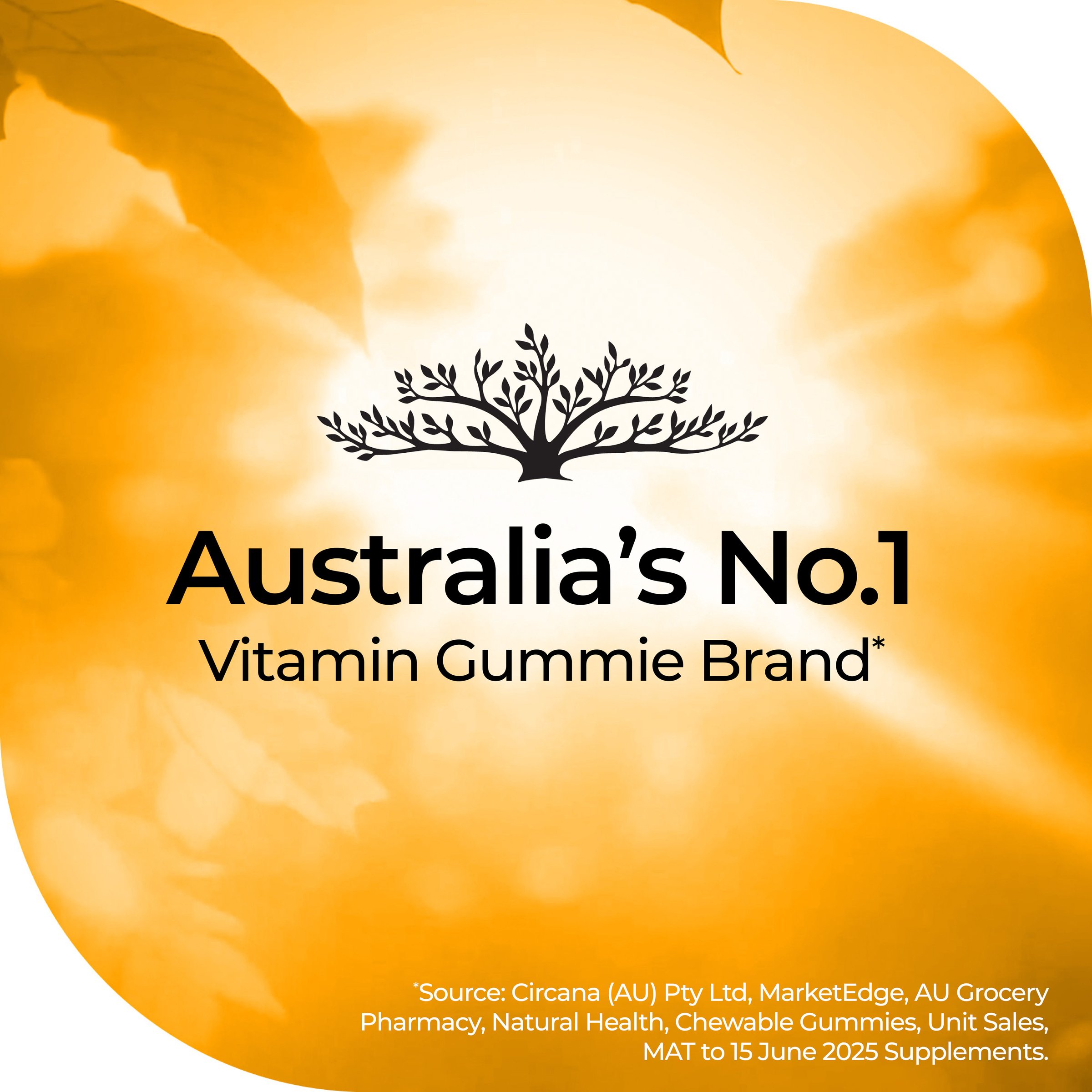 Nature's Way High Strength Adult Vita Gummies Calm & Focus L-Theanine 50 pastilles - Image 4