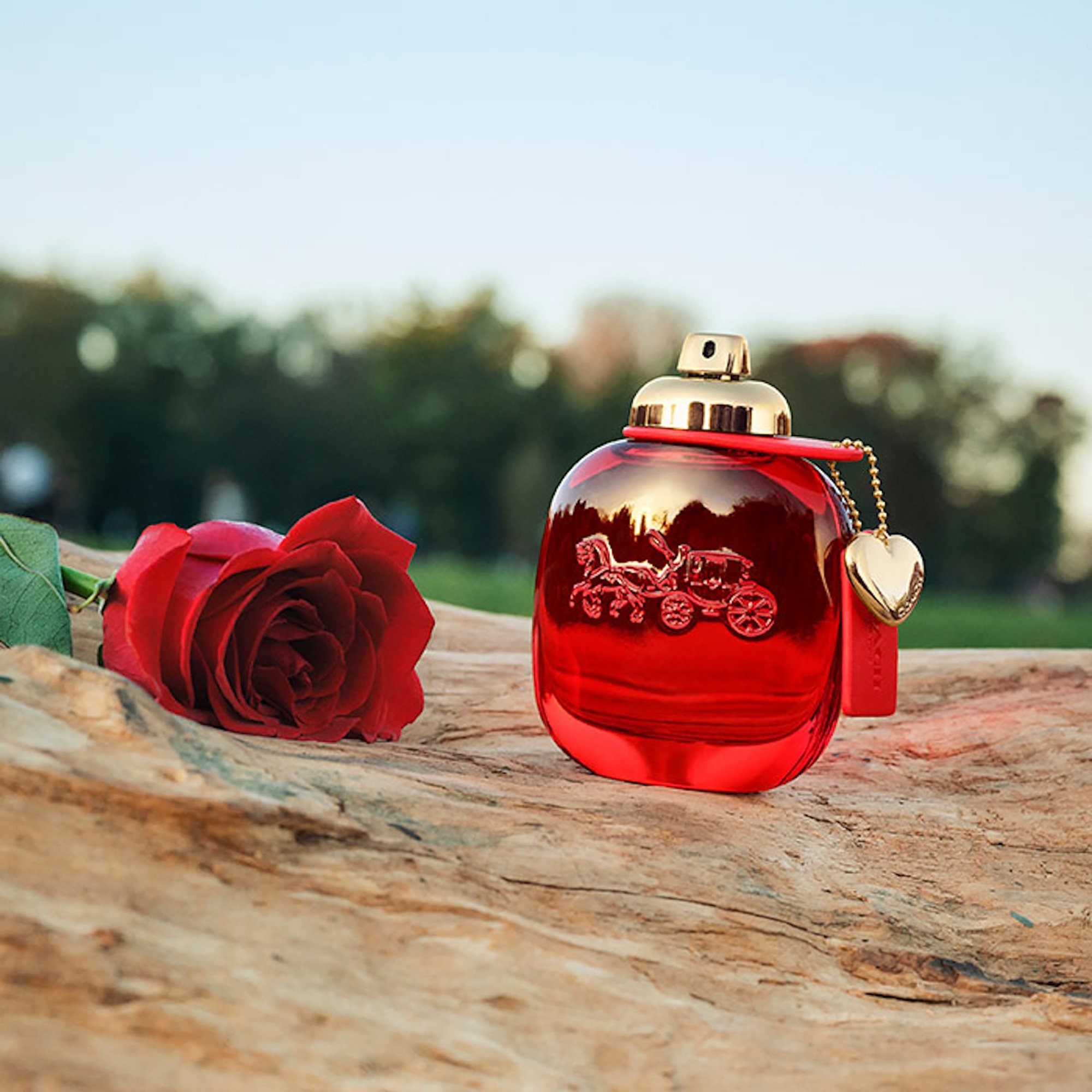 Coach Love EDP Spray 30ml - Image 4