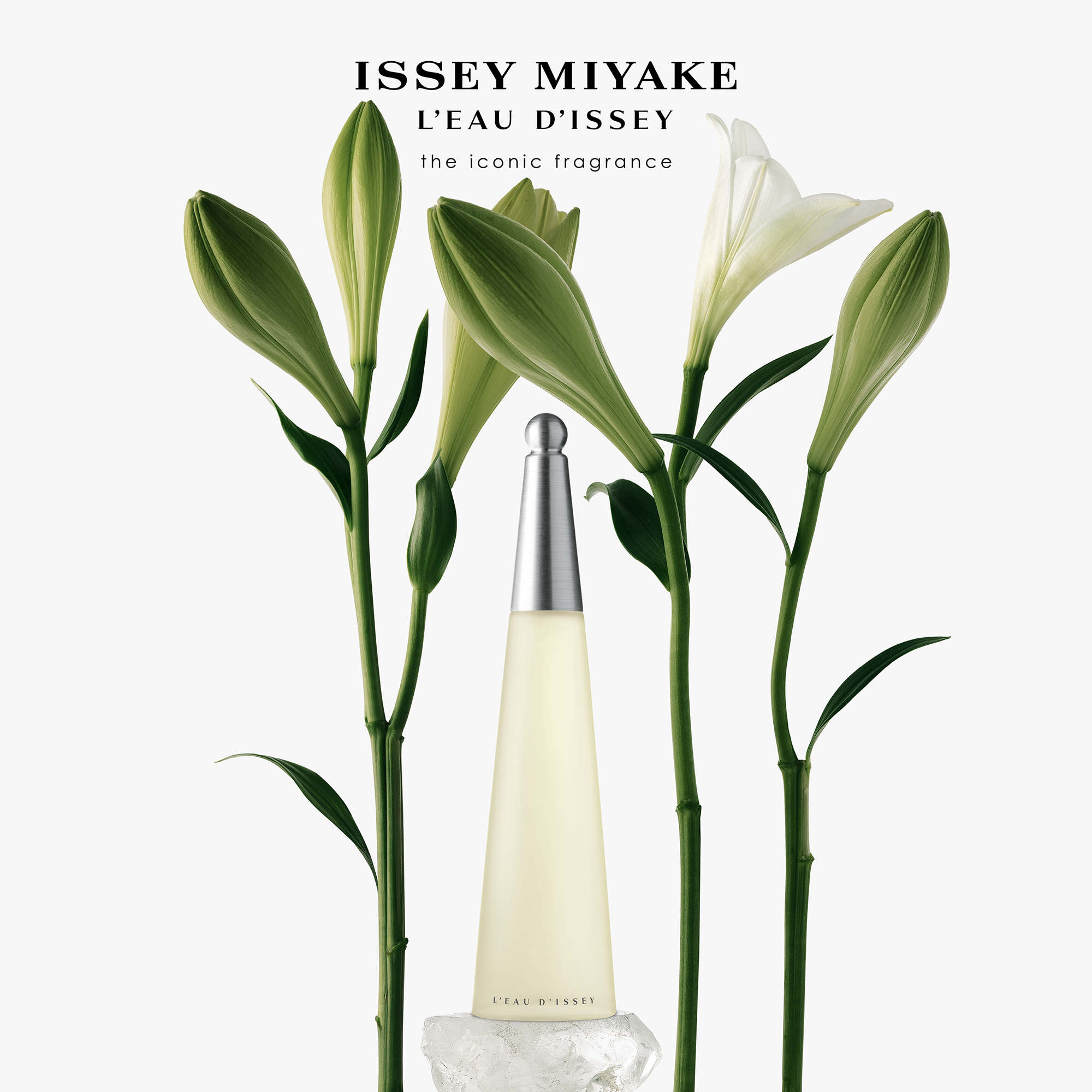 Issey Miyake L'Eau d'Issey EDT Spray 100ml - Image 3