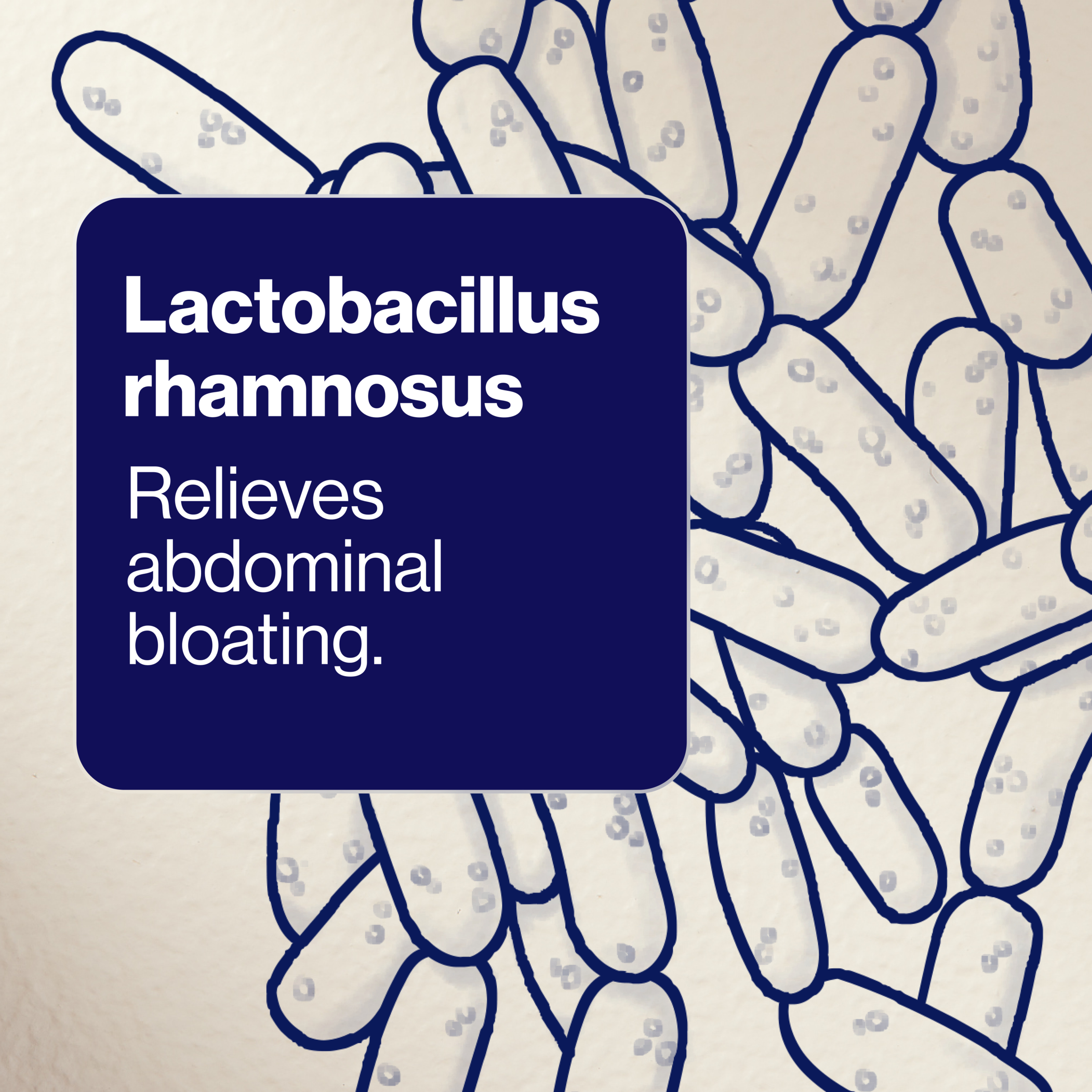 BioCeuticals UltraBiotic 45 - 30 capsules - Image 8