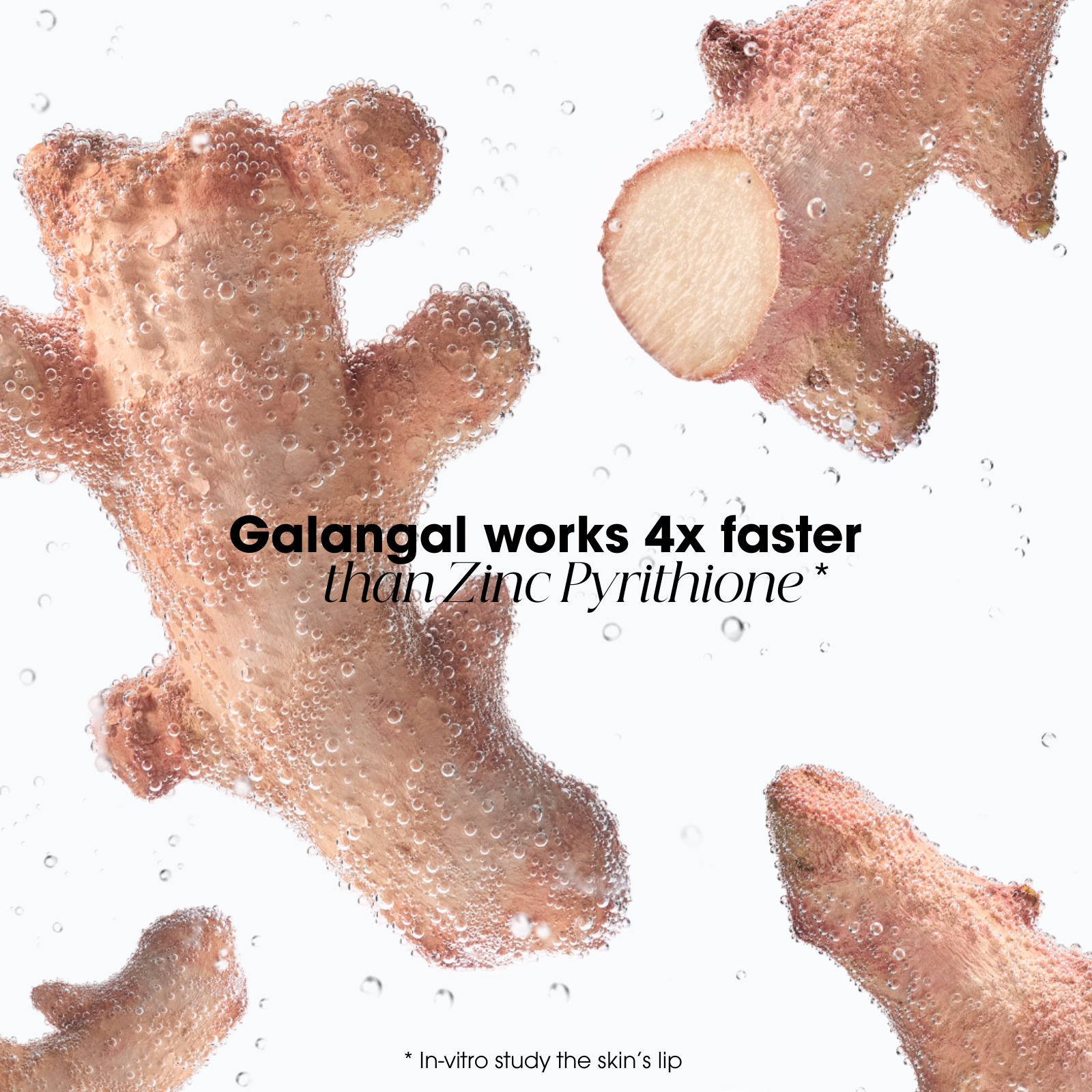 Klorane Anti-Dandruff Rebalancing Shampoo Galangal 400ml - Image 6