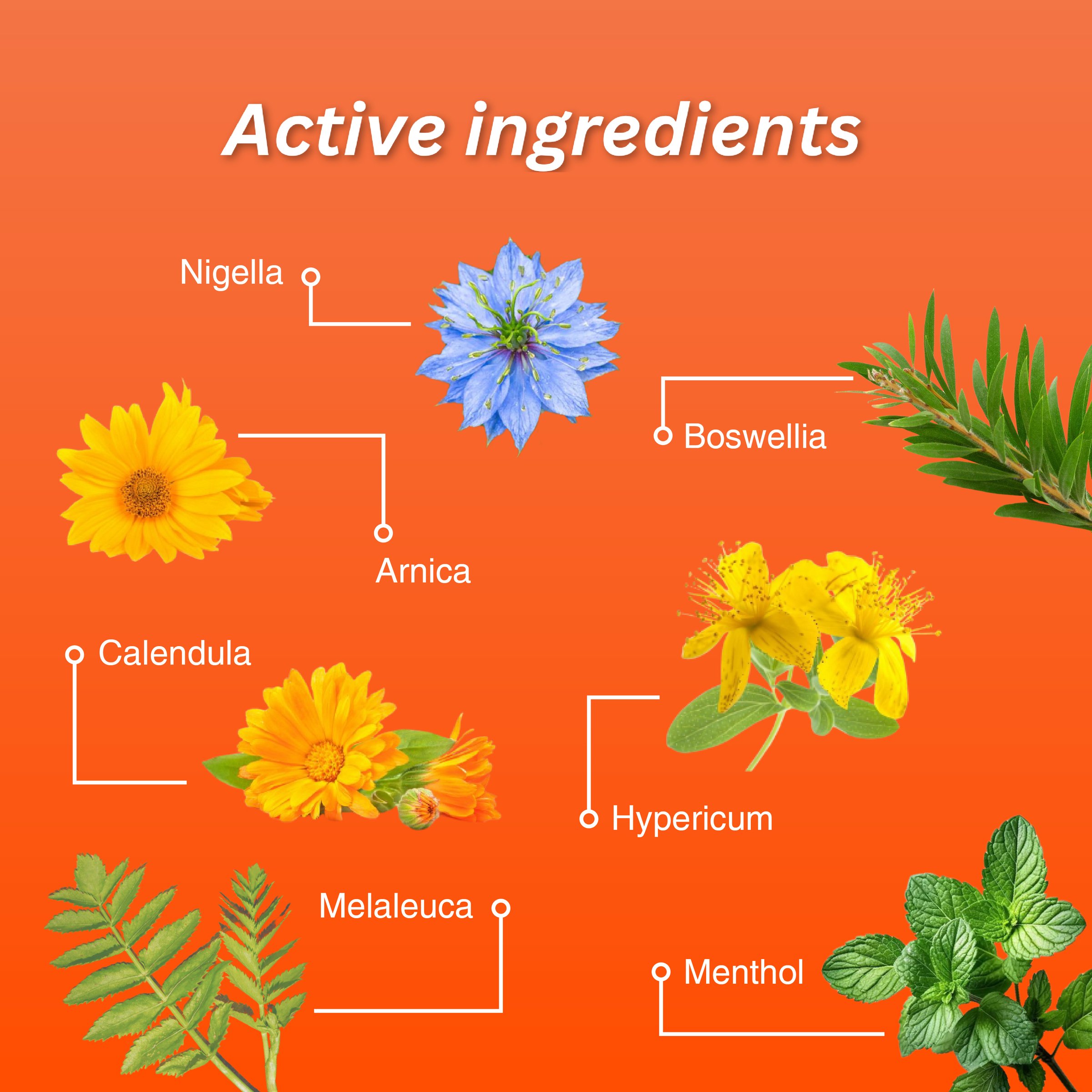 Fisiocrem Joint Ease 150g - Image 3
