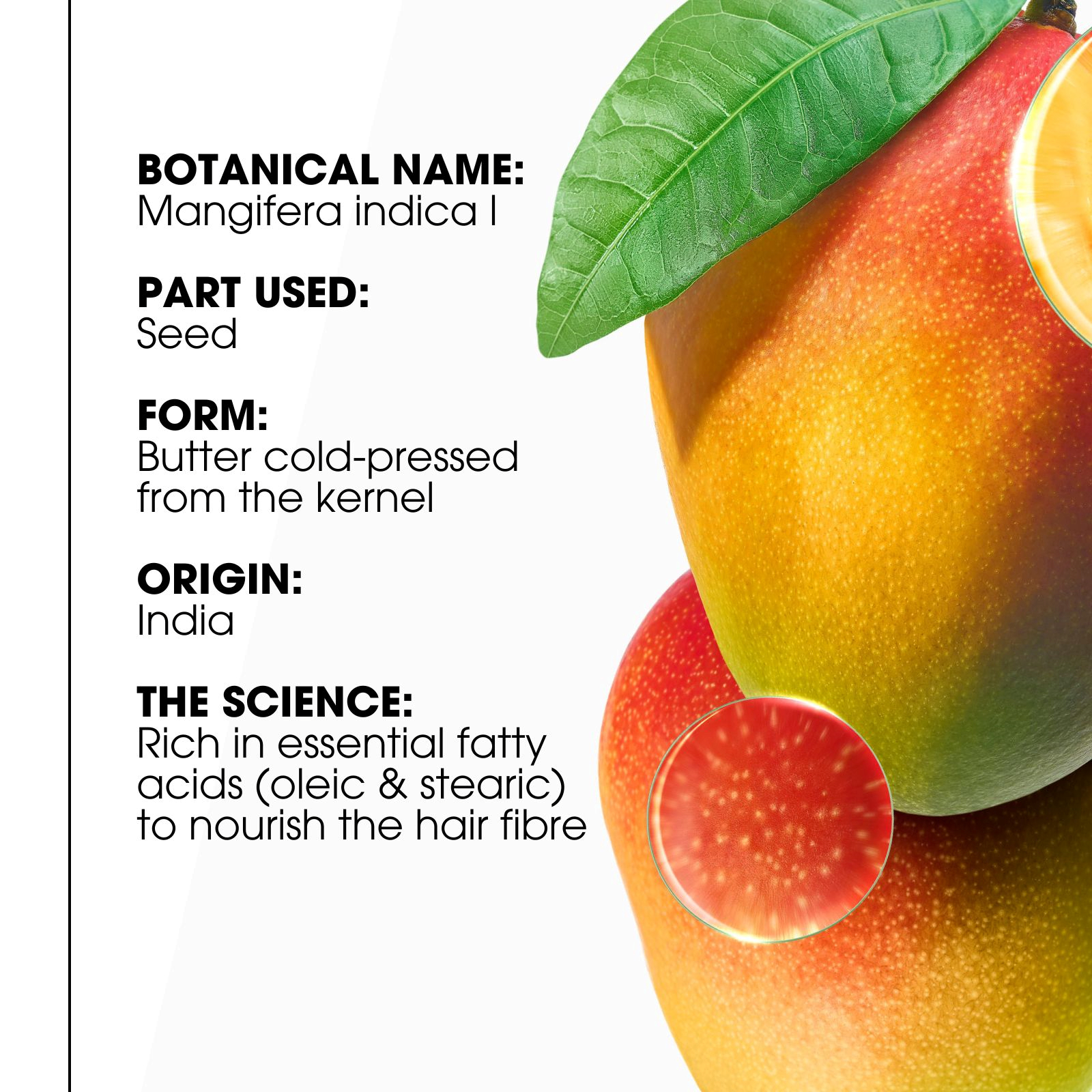 Klorane Mask With Mango 150ml - Image 9