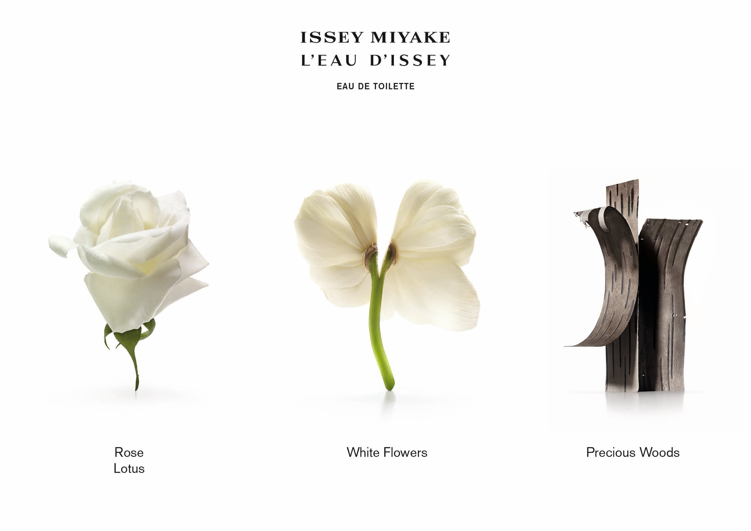 Issey Miyake L'Eau d'Issey EDT Spray 100ml - Image 2