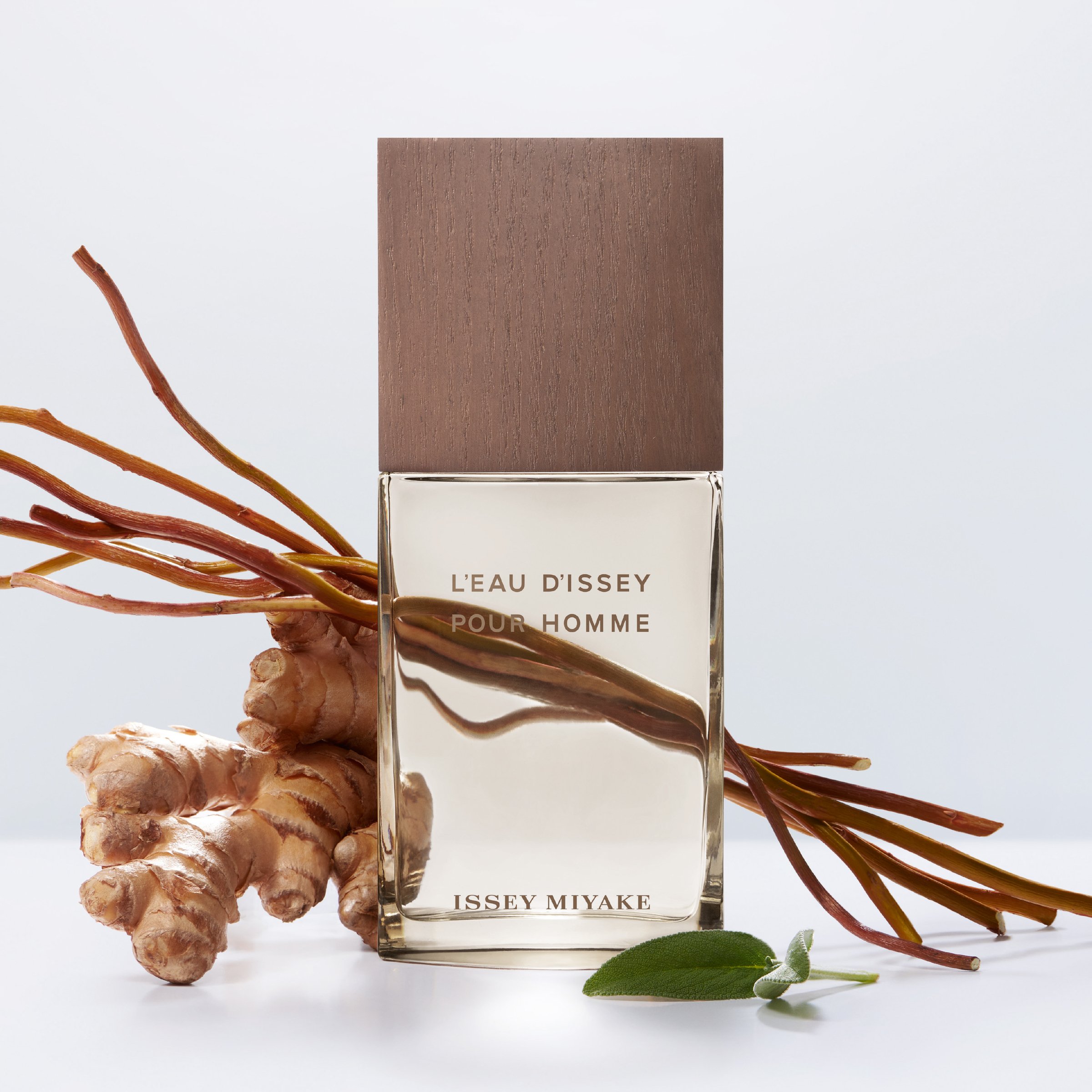 Issey Miyake L’Eau d’Issey Pour Homme Vétiver EDTI Spray 100ml - Image 3