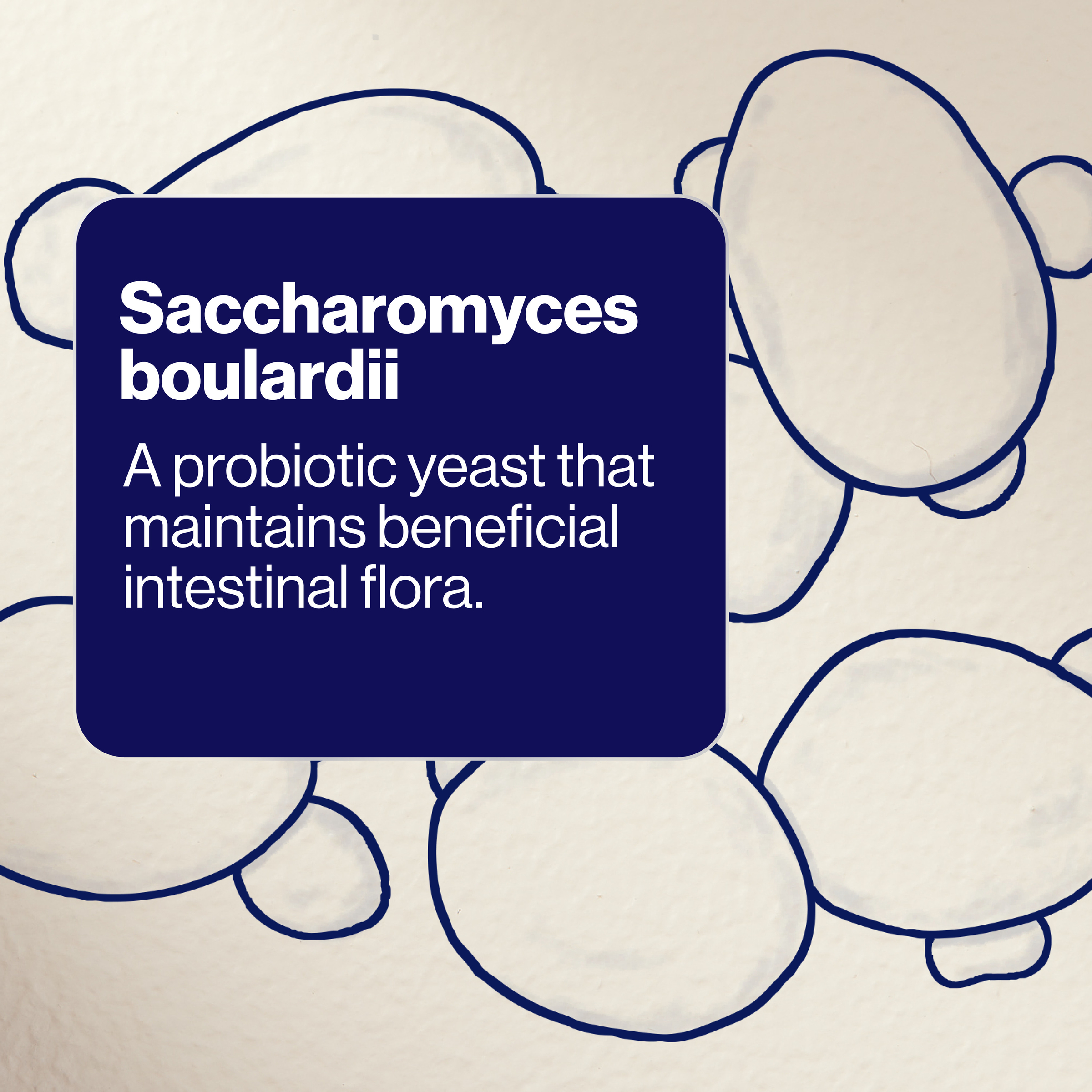BioCeuticals SB Floractiv 120 capsules - Image 8