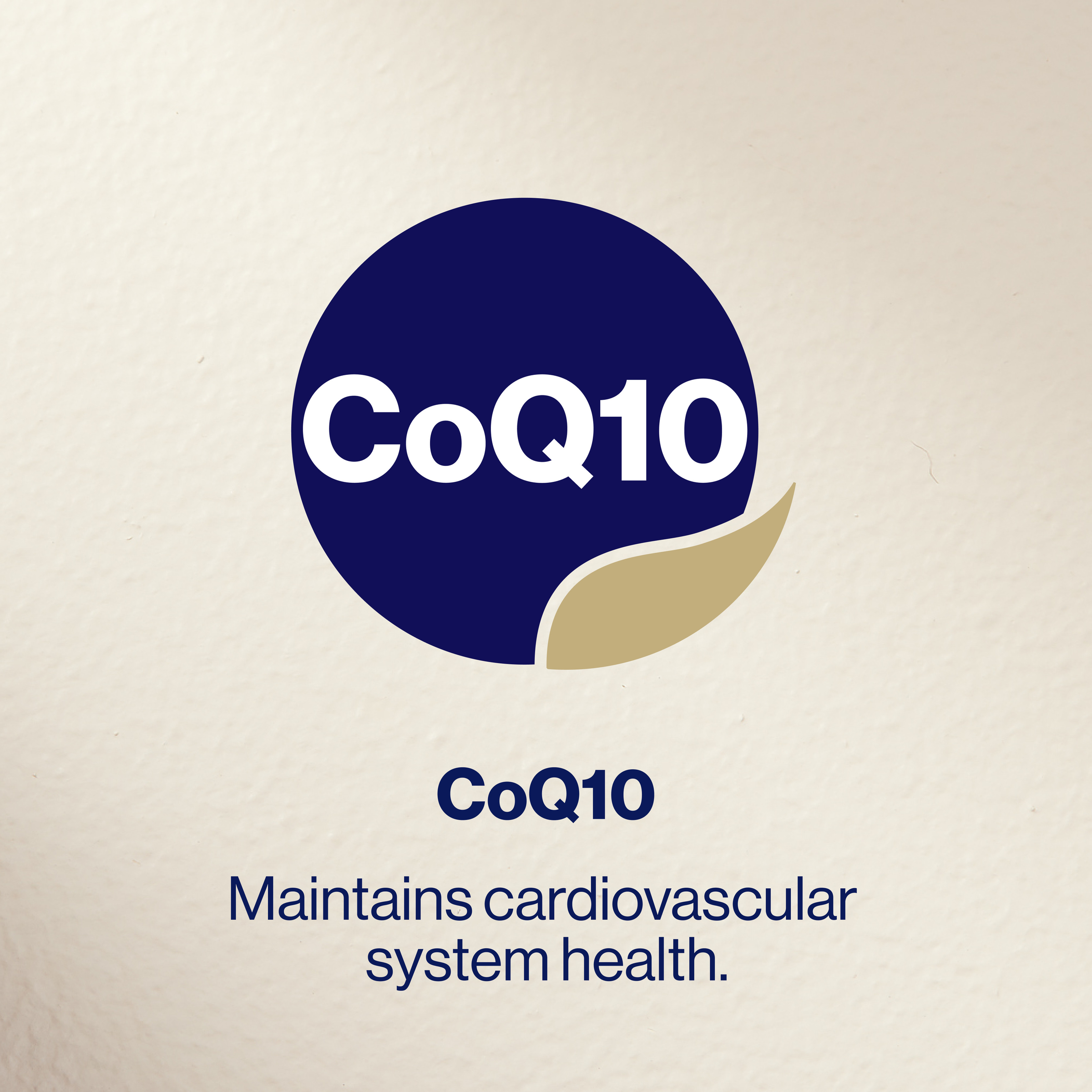 BioCeuticals CoQ10 Excel 150mg - 90 soft capsules - Image 8