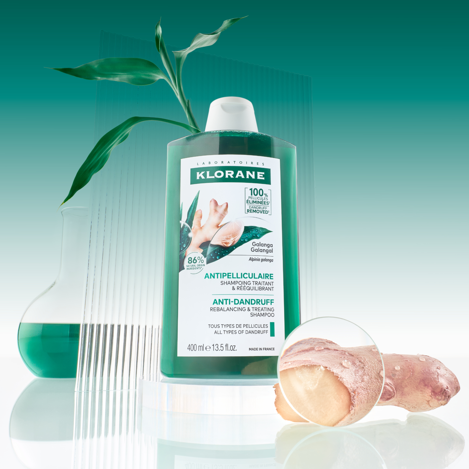 Klorane Anti-Dandruff Rebalancing Shampoo Galangal 400ml - Image 8