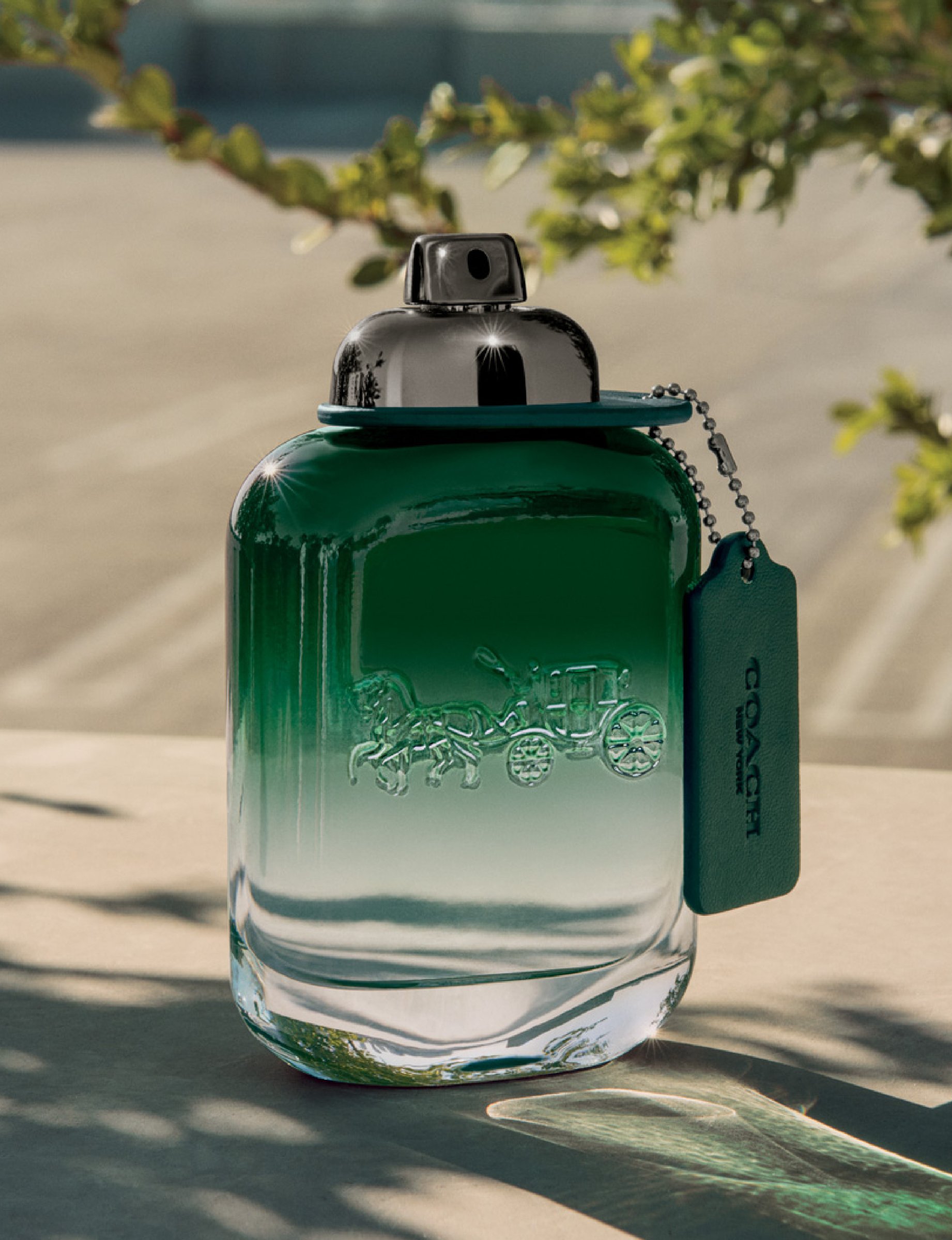 Coach Man Green EDT Spray 100ml - Image 4